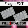Filagra FXT 17